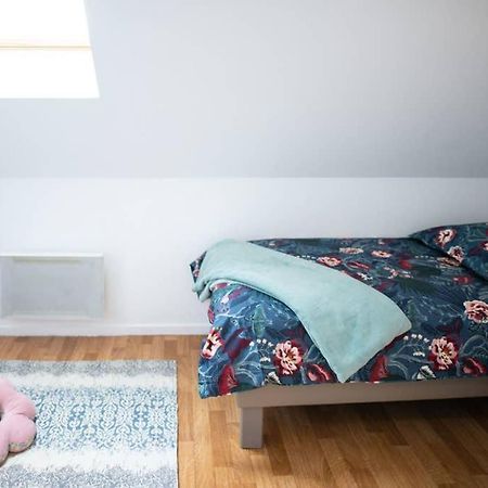 Duplex Tout Equipe, Proche Centre-Ville Colmar, Parking 外观 照片