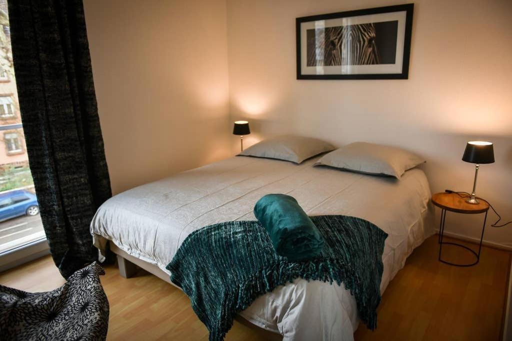Duplex Tout Equipe, Proche Centre-Ville Colmar, Parking 外观 照片