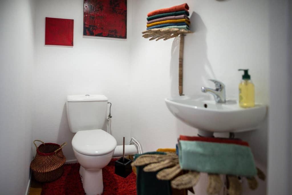 Duplex Tout Equipe, Proche Centre-Ville Colmar, Parking 外观 照片